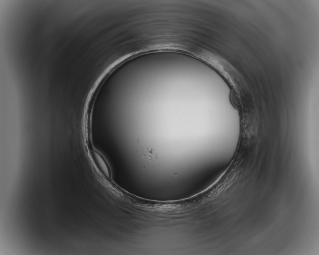 X0000097811140200803201412