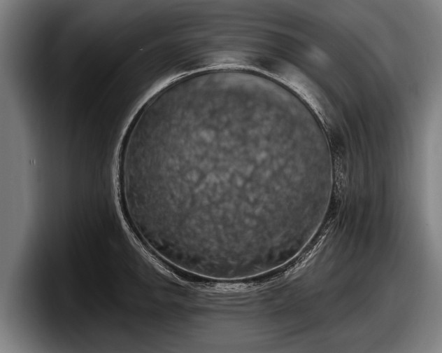 X0000097811142200803201412