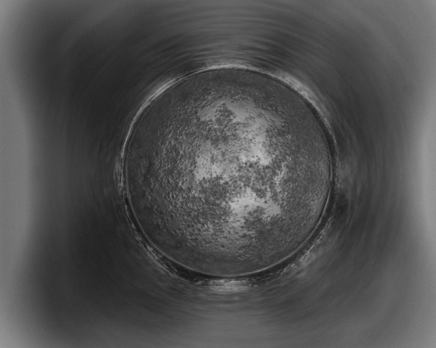 X0000097811145200803201412