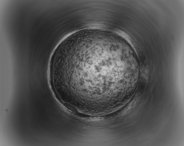 X0000097811147200803201412