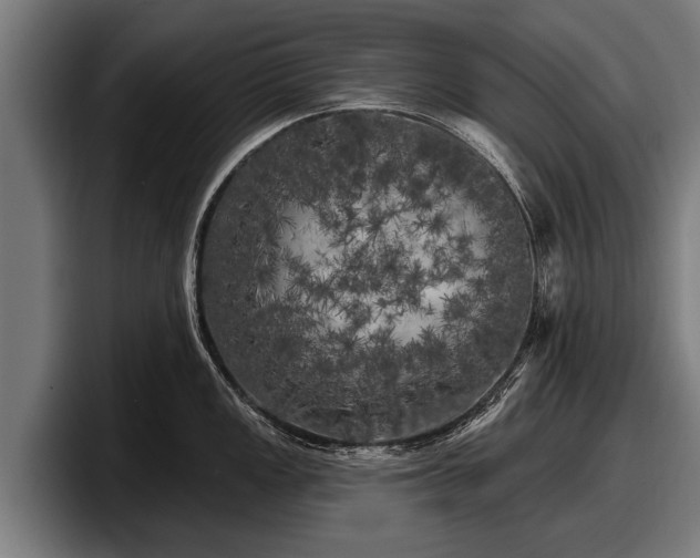 X0000097811149200803201412