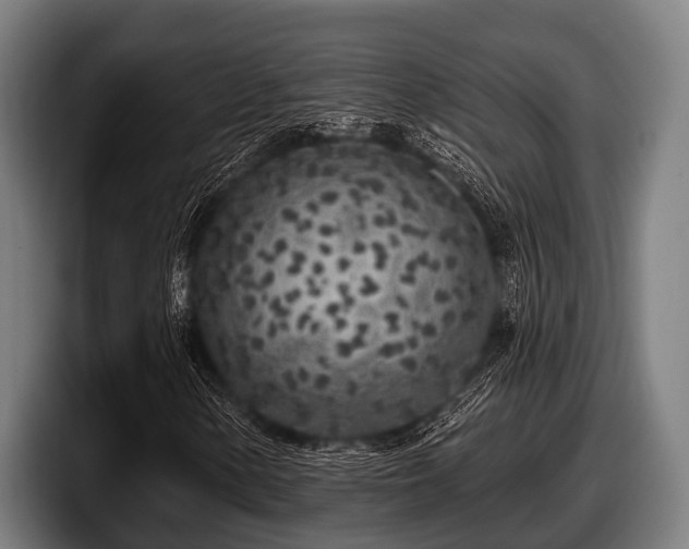 X0000097811154200803201412