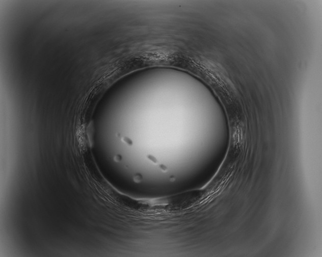 X0000097811156200803201412