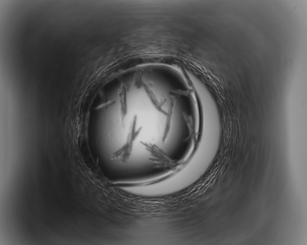 X0000097811157200803201412
