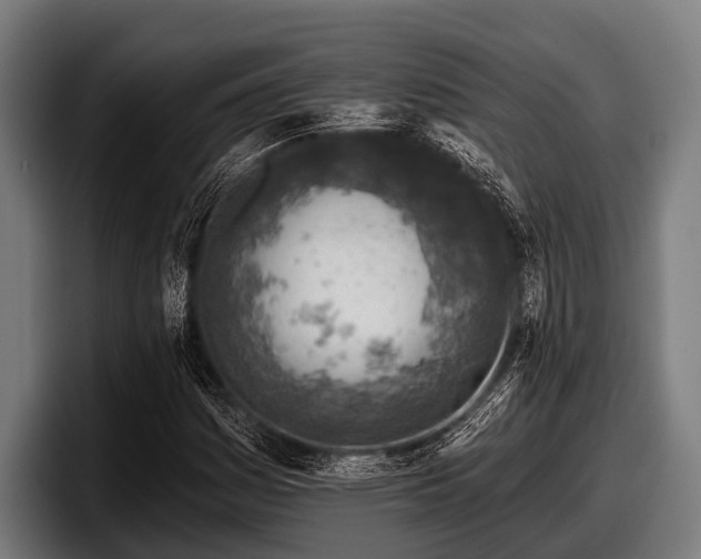 X0000097811161200803201412