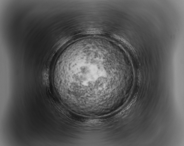 X0000097811162200803201412