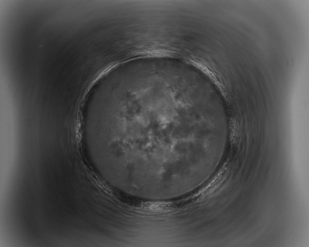 X0000097811163200803201412