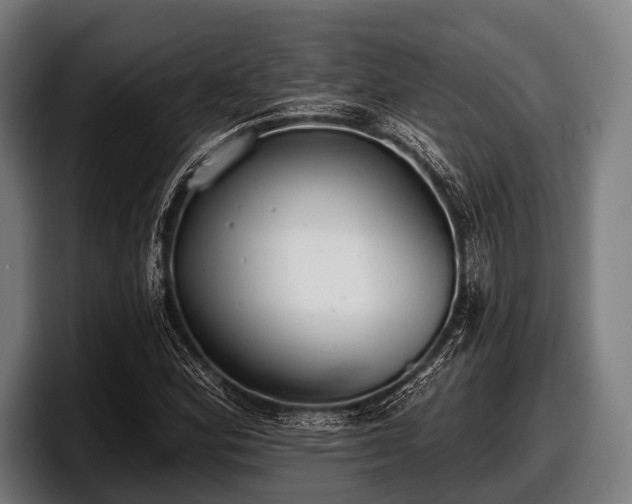 X0000097811164200803201412