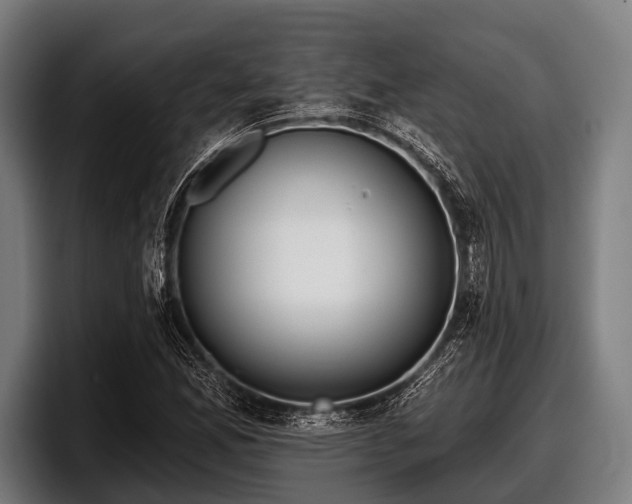 X0000097811165200803201412