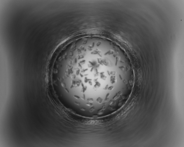 X0000097811166200803201412