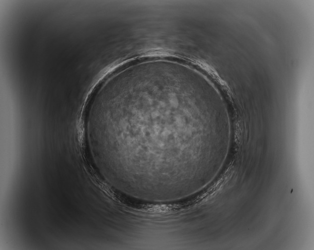 X0000097811167200803201411