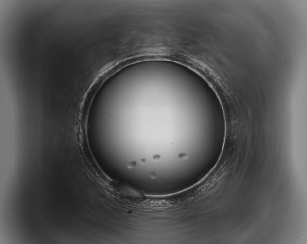 X0000097811168200803201411