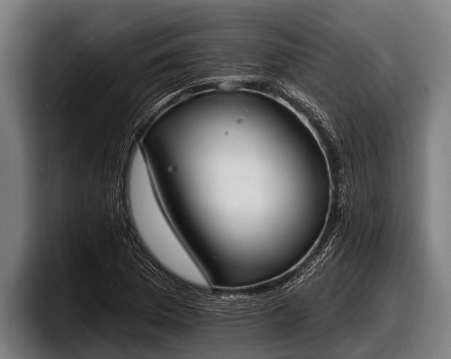 X0000097811169200803201411