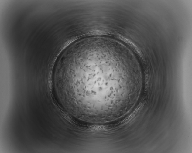 X0000097811170200803201411