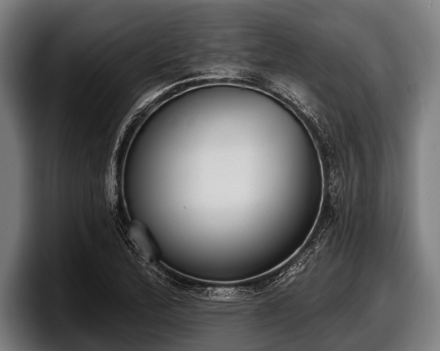 X0000097811172200803201411