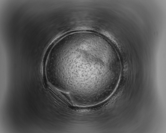 X0000097811173200803201411