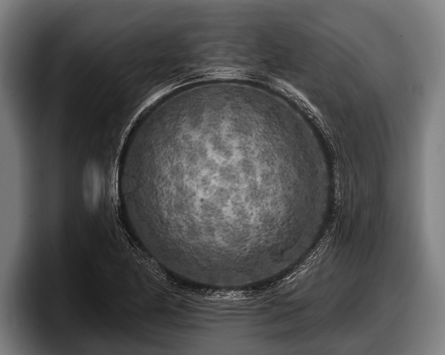 X0000097811174200803201411