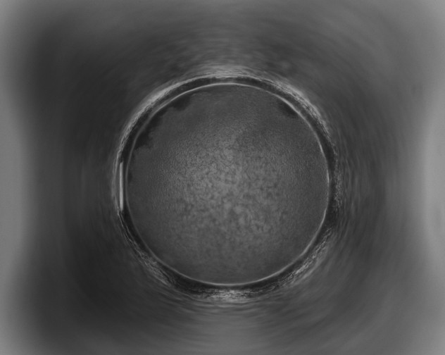 X0000097811175200803201411