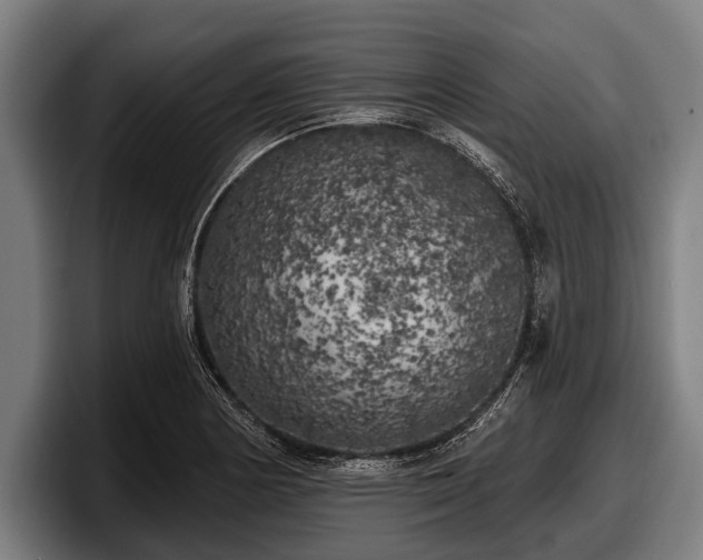 X0000097811178200803201411