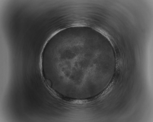 X0000097811179200803201411