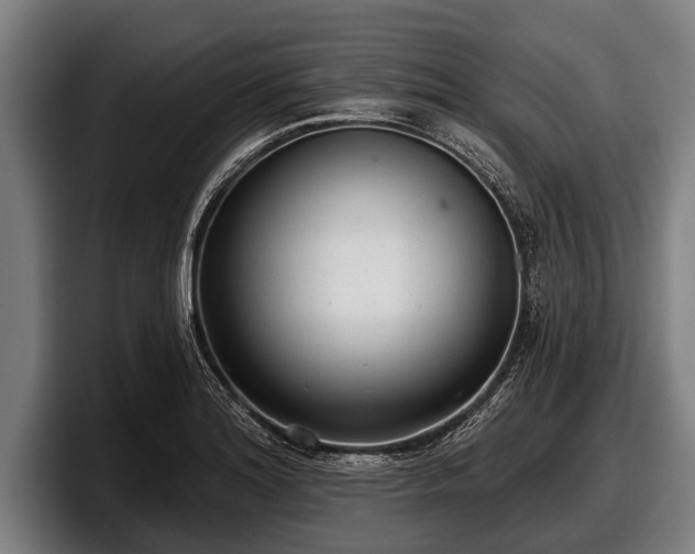 X0000097811180200803201411