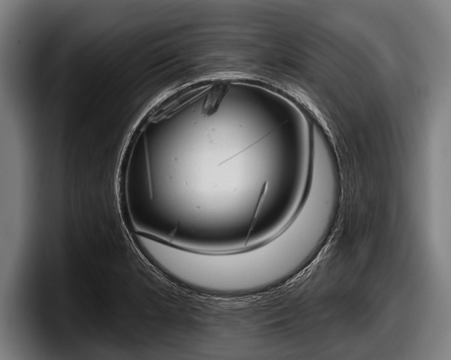 X0000097811181200803201411