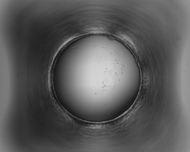 X0000097811182200803201411