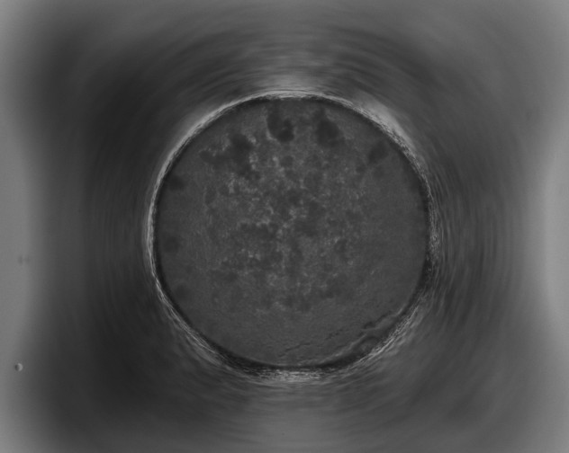 X0000097811183200803201411