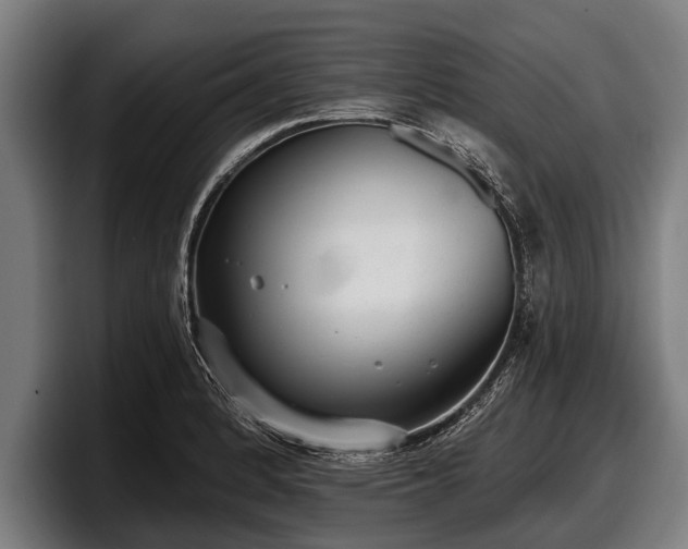 X0000097811184200803201411