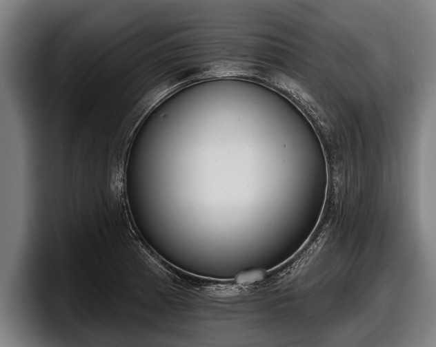 X0000097811185200803201411