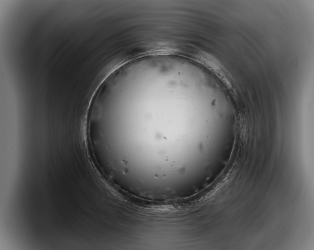 X0000097811186200803201411