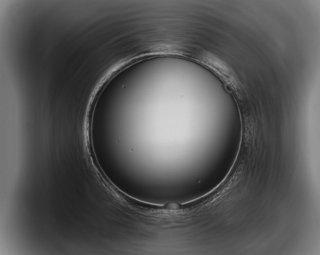 X0000097811188200803201411