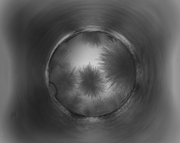 X0000097811190200803201411