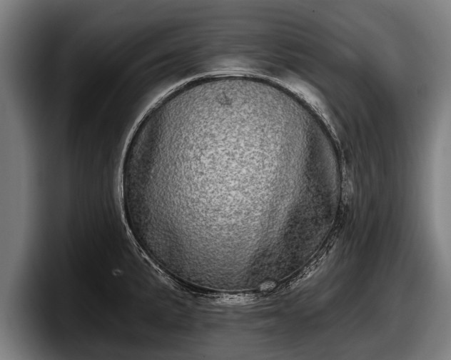 X0000097811191200803201411