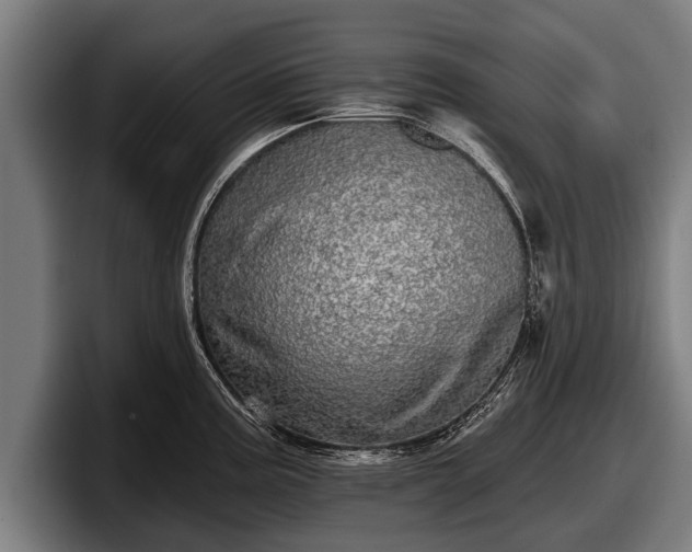 X0000097811195200803201411