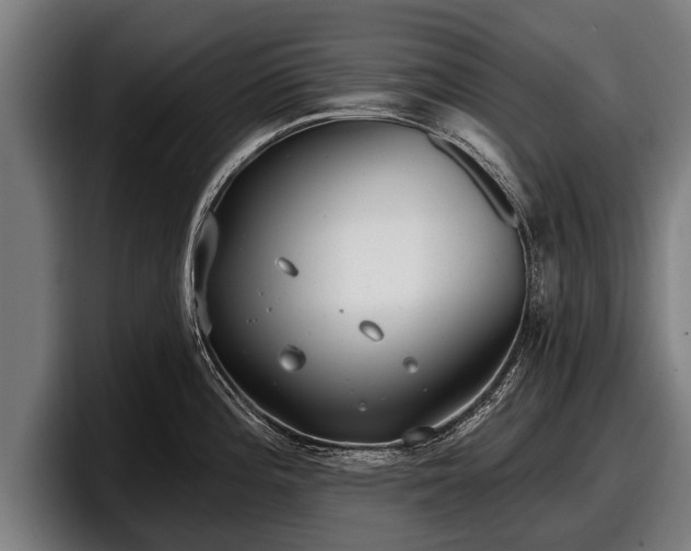 X0000097811196200803201411