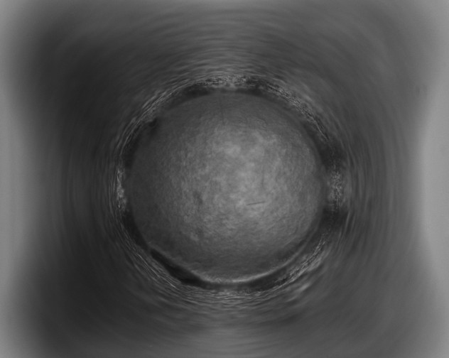 X0000097811202200803201410