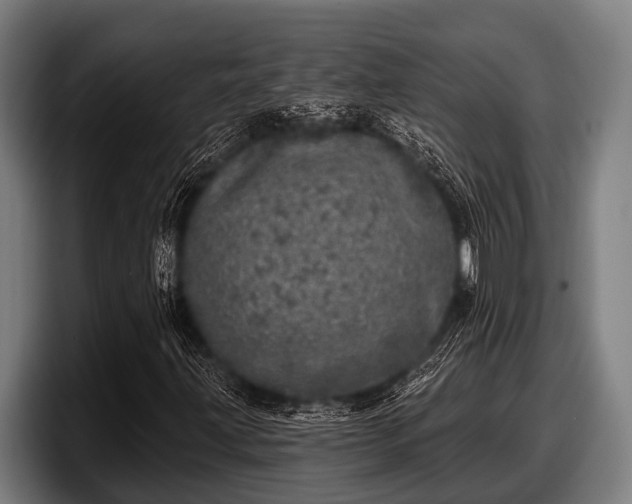 X0000097811203200803201410