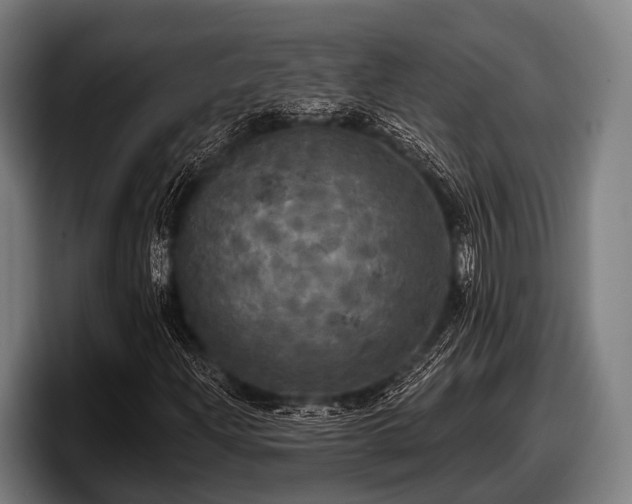 X0000097811204200803201410