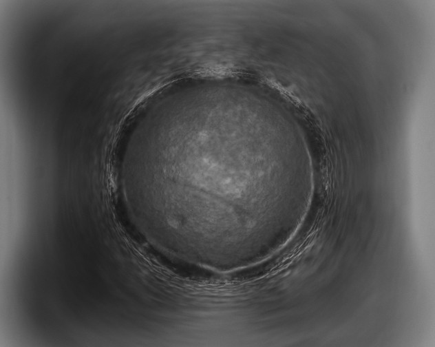 X0000097811206200803201411