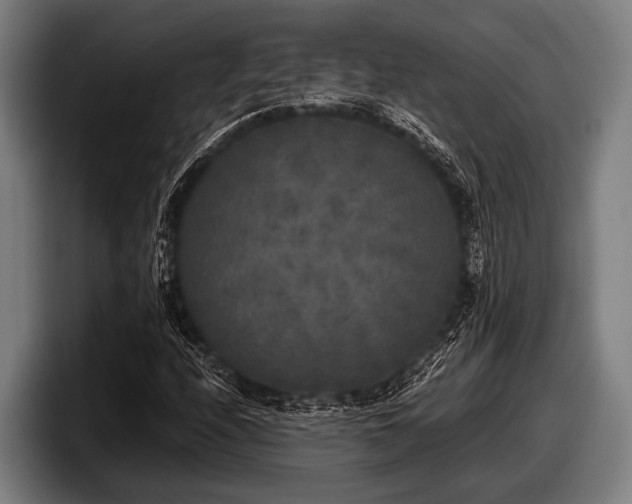 X0000097811208200803201411