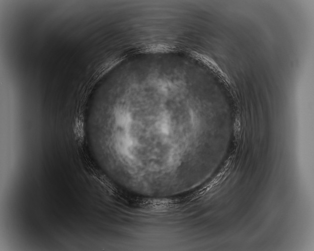 X0000097811209200803201411