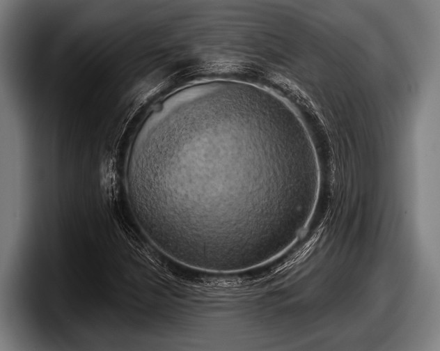 X0000097811210200803201411