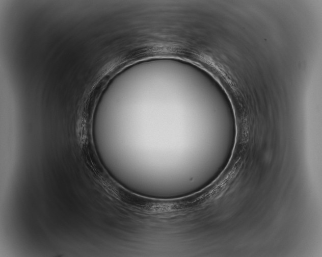 X0000097811211200803201411