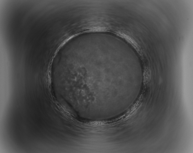 X0000097811212200803201411