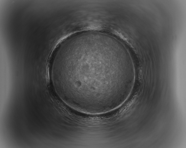 X0000097811214200803201411