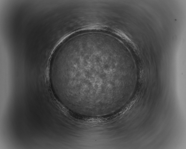 X0000097811216200803201411