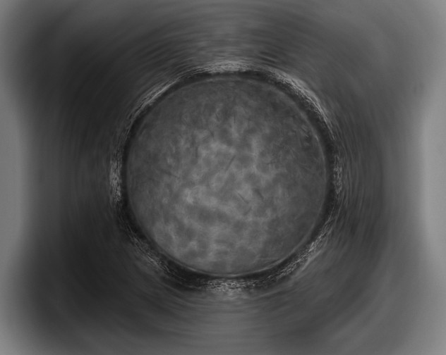 X0000097811217200803201411