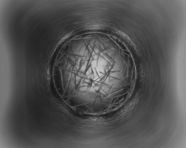 X0000097811218200803201411