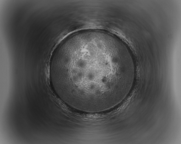 X0000097811220200803201411